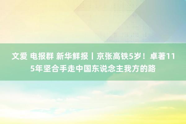 文爱 电报群 新华鲜报丨京张高铁5岁！卓著115年坚合手走中国东说念主我方的路