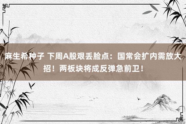 麻生希种子 下周A股艰丢脸点：国常会扩内需放大招！两板块将成反弹急前卫！