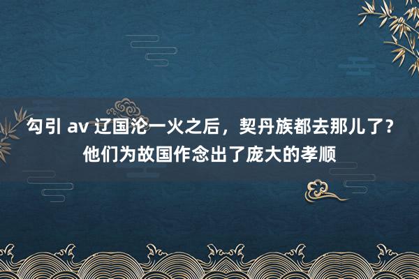 勾引 av 辽国沦一火之后，契丹族都去那儿了？他们为故国作念出了庞大的孝顺