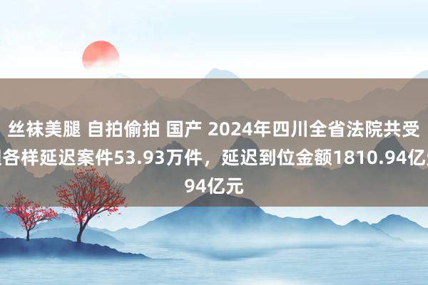 丝袜美腿 自拍偷拍 国产 2024年四川全省法院共受理各样延迟案件53.93万件，延迟到位金额1810.94亿元