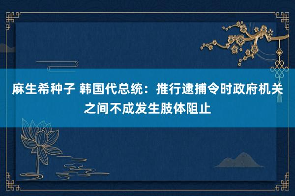 麻生希种子 韩国代总统：推行逮捕令时政府机关之间不成发生肢体阻止