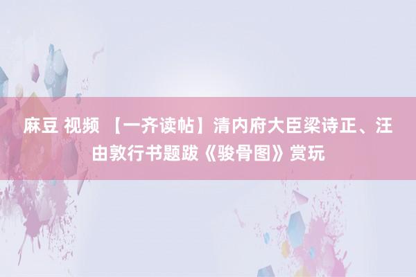 麻豆 视频 【一齐读帖】清内府大臣梁诗正、汪由敦行书题跋《骏骨图》赏玩