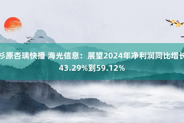 杉原杏璃快播 海光信息：展望2024年净利润同比增长43.29%到59.12%