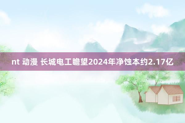 nt 动漫 长城电工瞻望2024年净蚀本约2.17亿