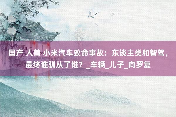 国产 人兽 小米汽车致命事故：东谈主类和智驾，最终谁驯从了谁？_车辆_儿子_向罗复