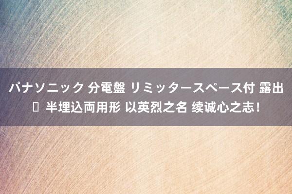 パナソニック 分電盤 リミッタースペース付 露出・半埋込両用形 以英烈之名 续诚心之志！