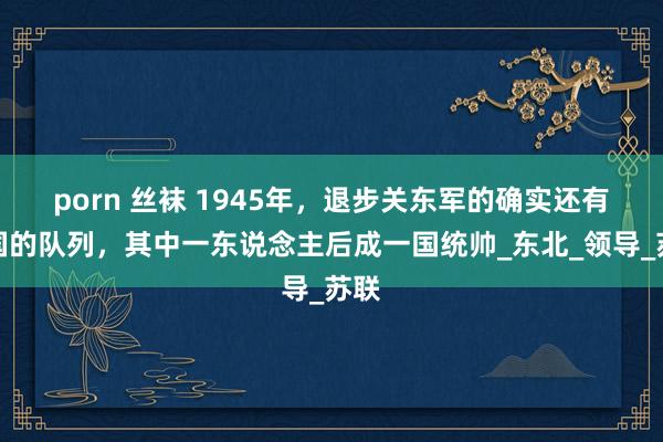 porn 丝袜 1945年，退步关东军的确实还有我国的队列，其中一东说念主后成一国统帅_东北_领导_苏联